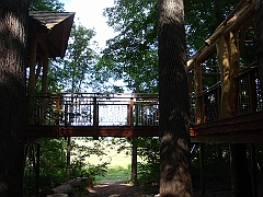 101 Longwood Gardens [2008 August 23]